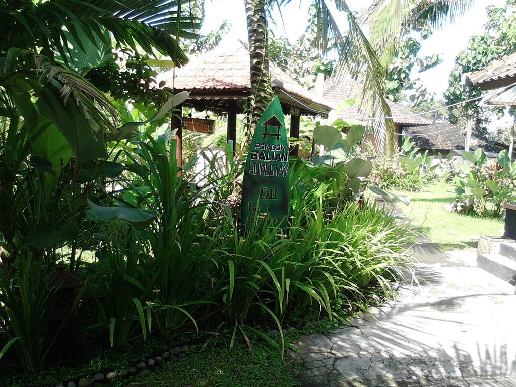 Pondok Balian Selemadeg  ภายนอก รูปภาพ